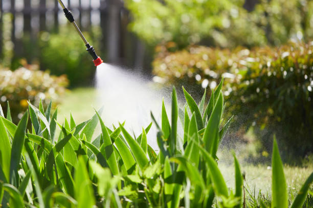 24/7 Emergency Cockroach Control experts in Paxton, IL