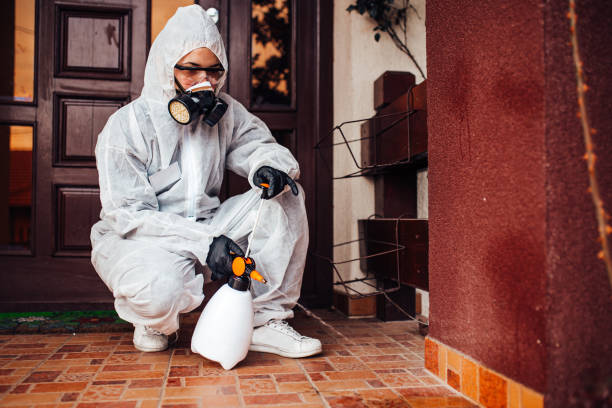 Reliable Cockroach Control contractor in Paxton, IL by Nex Pest Control
